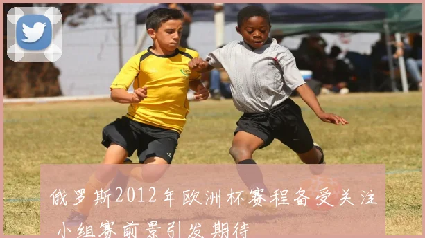 俄罗斯2012年欧洲杯赛程备受关注 小组赛前景引发期待