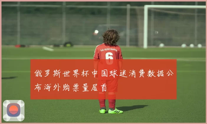 俄罗斯世界杯中国球迷消费数据公布海外购票量居首