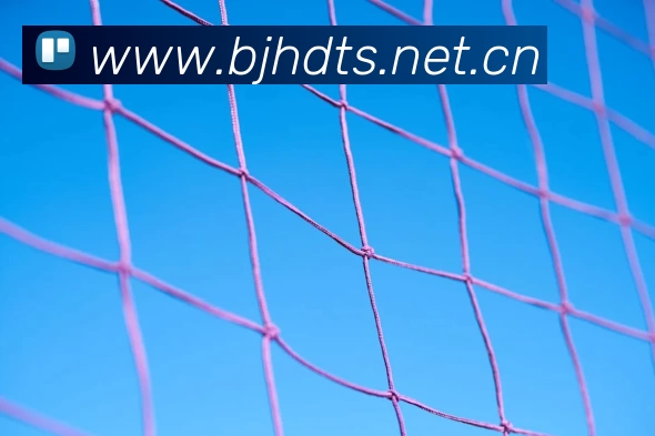 beat·365(中国)官方网站平台生态图