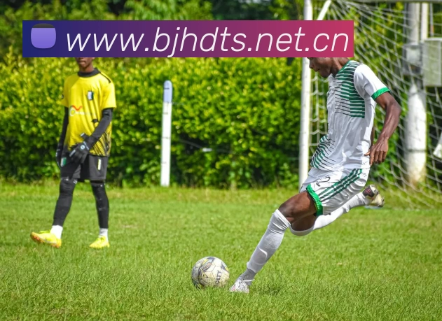 beat·365(中国)官方网站APP 封面图